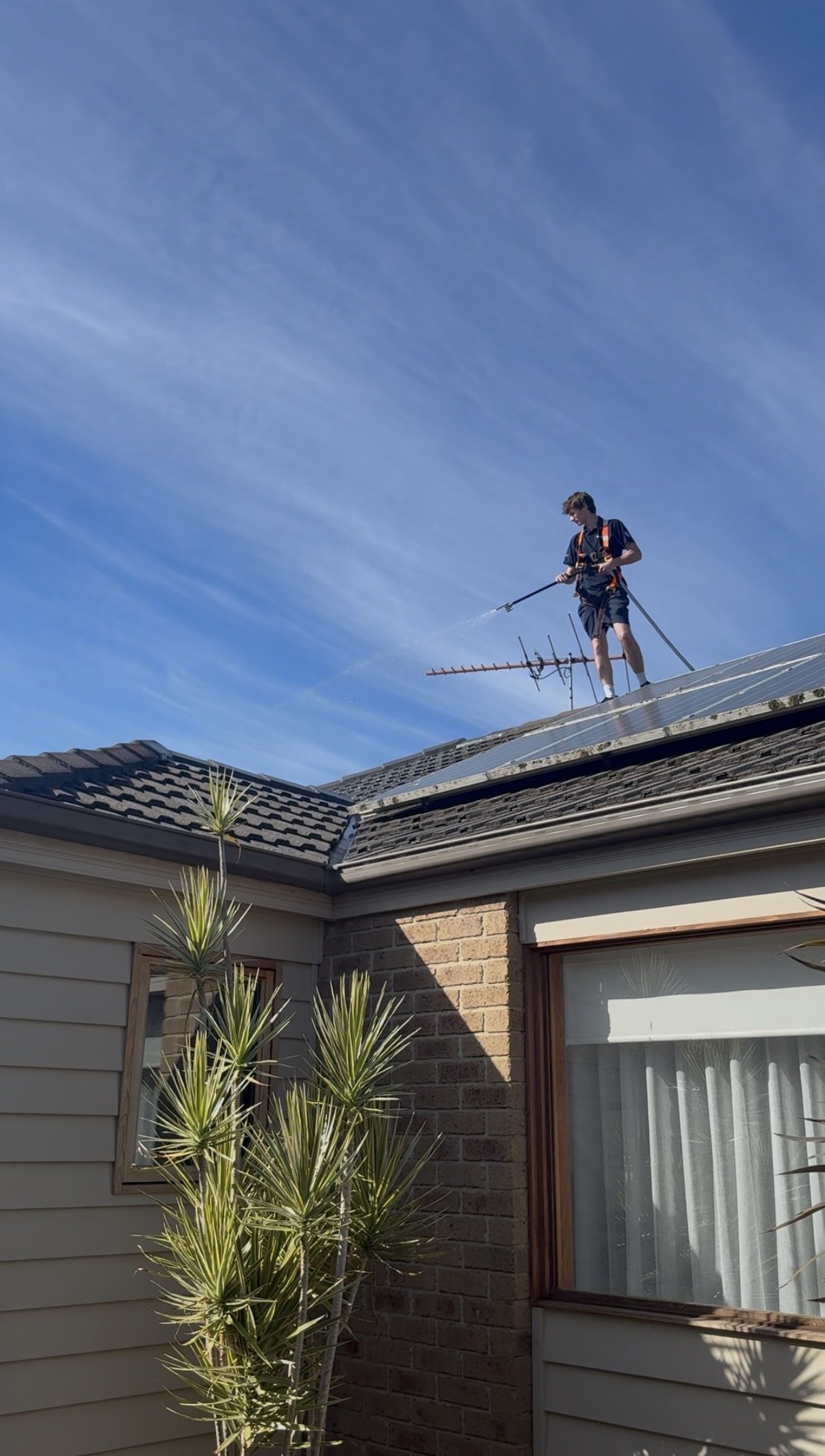 Roof Moss Treatment in Geelong by TwinTide Cleaning — safe, eco-friendly soft-wash treatment that kills moss, lichen and algae on tile and colorbond roofs