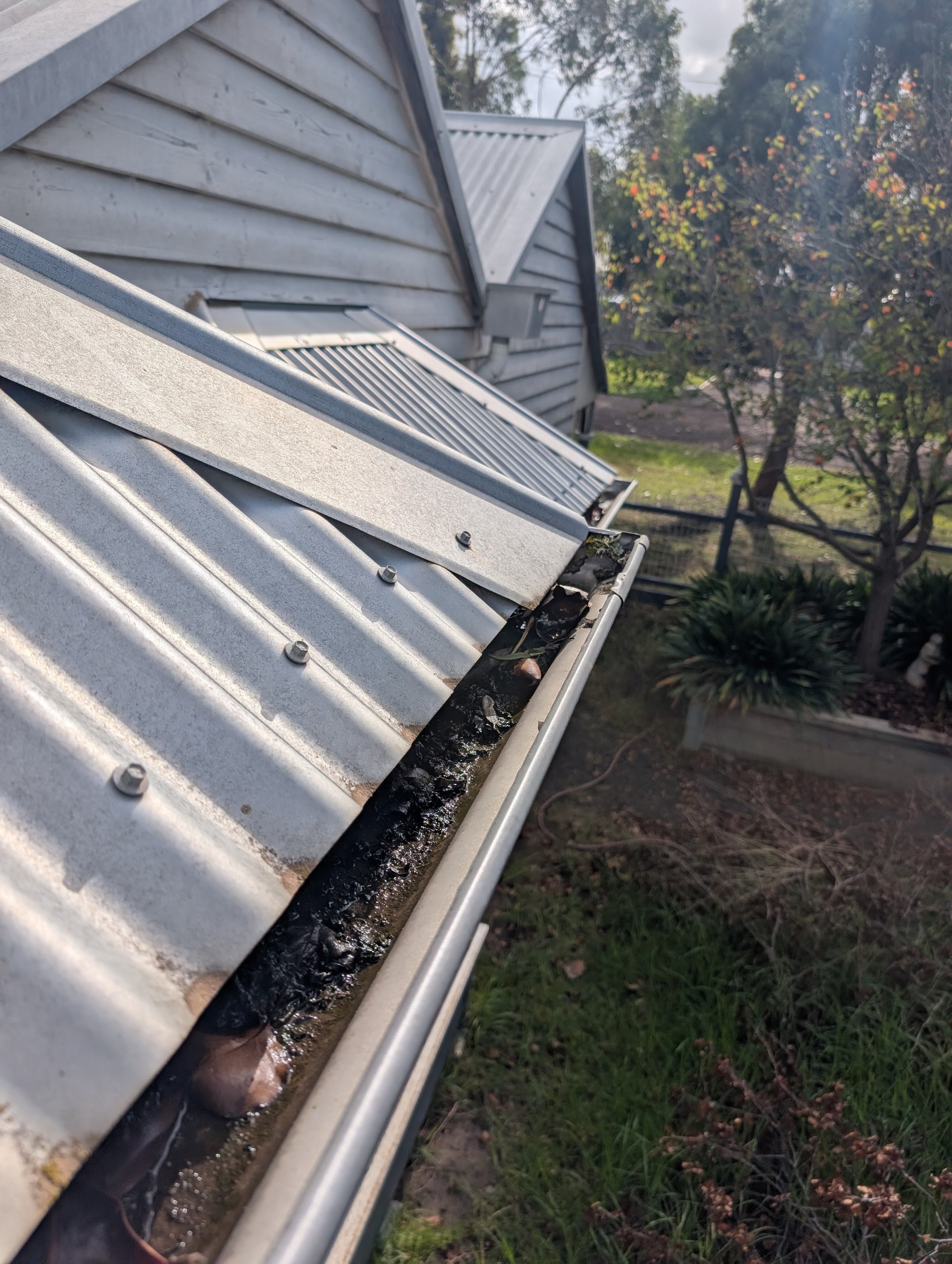 Gutter Cleaning in Geelong by TwinTide Cleaning — full gutter clear-out